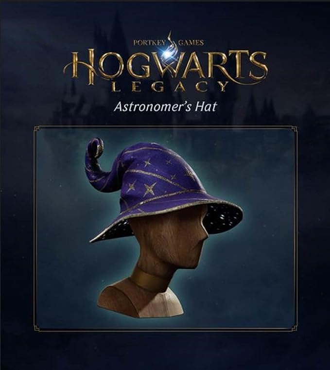 Warner Bros Interactive Entertainment UK Hogwarts Legacy PS5 (Amazon Exclusive)