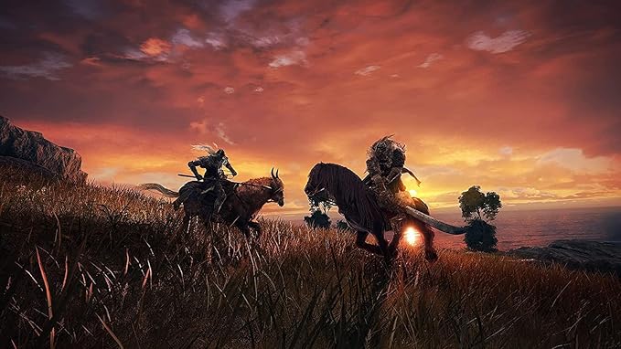 PlayStation Elden Ring (PS5)